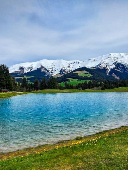 A Avec Jardin Apartment Megeve