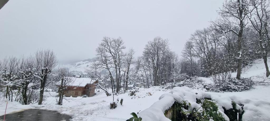Apartment A Avec Jardin Megeve