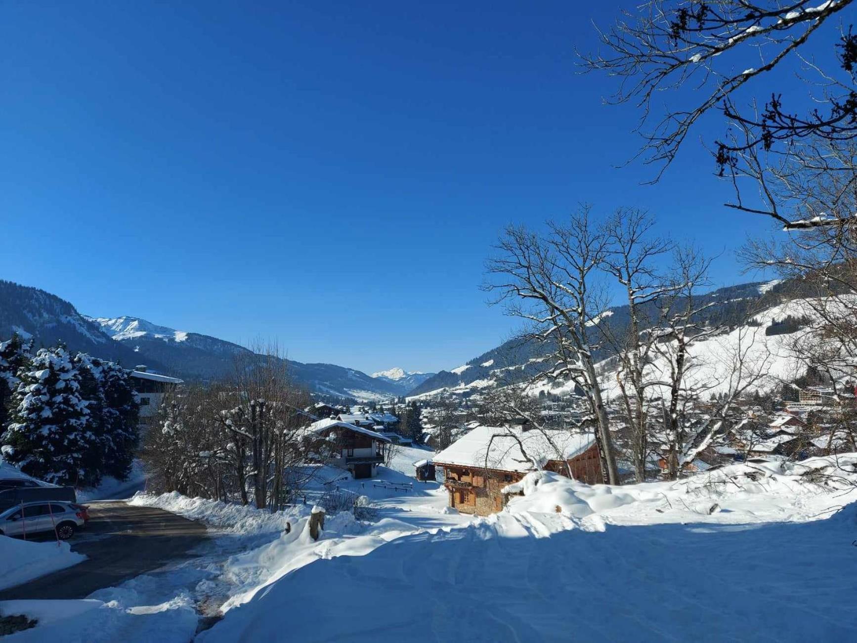A Avec Jardin Apartment Megeve